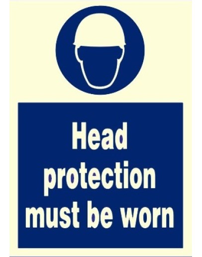 HEAD PROTECTION MUST BE WORN