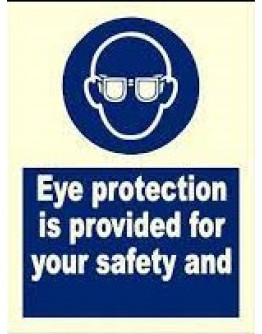 EYE PROTECTION IS PROVIDED FOR YOUR SAFETY